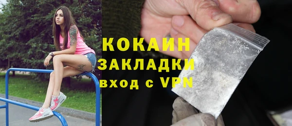 прущие грибы Вязьма