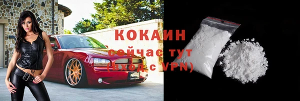 соль ск Горняк