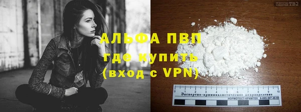 сатива Горнозаводск