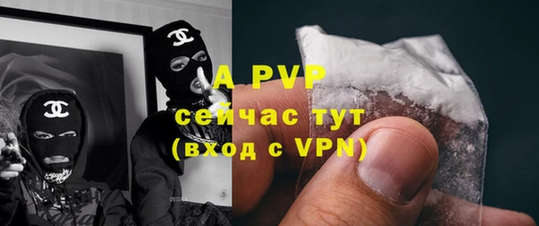 спайс Болотное