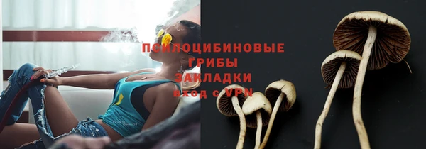 амф Горно-Алтайск