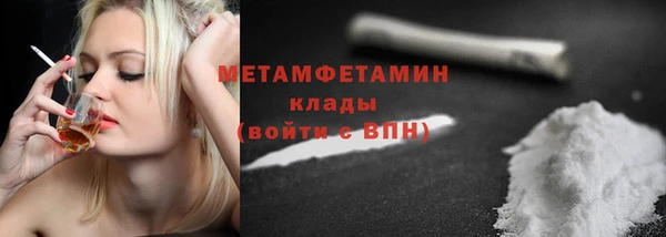 прущие грибы Вязьма