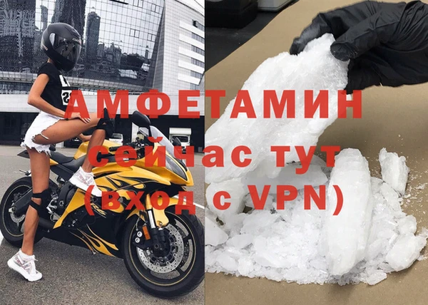 прущие грибы Вязьма