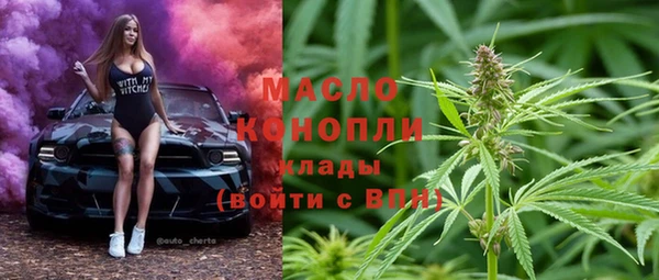 прущие грибы Вязьма
