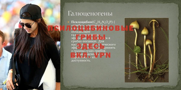 соль ск Горняк