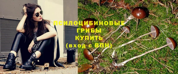 амф Горно-Алтайск