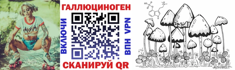 Псилоцибиновые грибы Psilocybine cubensis  Завитинск 